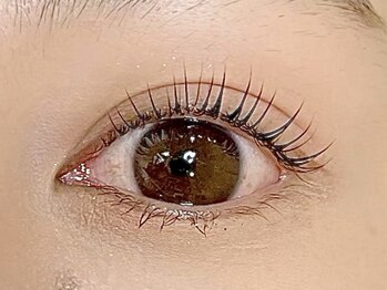 シル シェノン(cil shenon)/まつ毛パーマ