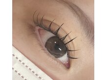 ジョリ(jolie)/フラットラッシュ140本