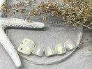 【夏限定】フットサンプル5種
