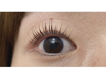 ペルシャ(Persian)/お客様デザイン【若葉/鶴ヶ島】