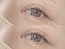 シロ(shiro)/フラットラッシュ120本