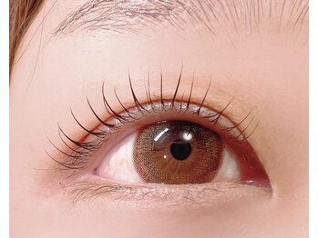 エニーラッシュ(ANYLASH)/韓国式オーダーラッシュリフト