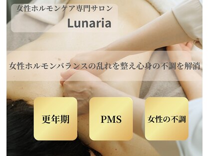 ルナリア(Lunaria)の写真