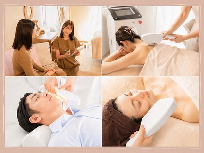 ナナノキ(nananoki)の写真