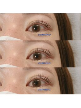 カミーノ(CAMINO)/