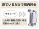 オアシス(OASIS)の写真