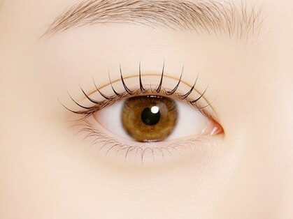 ティアラ(Tiara)の写真