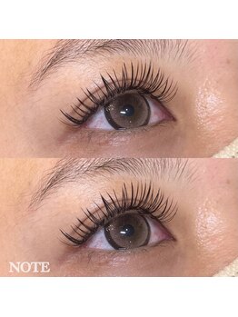 ノート(NOTE)/バインドロック☆120束