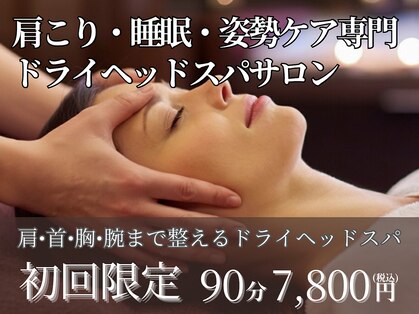 アルパカ(ALPAKA)の写真