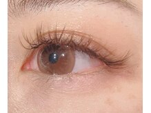 アンジーヘッドオフィス(ANZY Head office)/バインドロック120束ブラウン