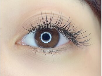 パリーアヴニール(PARIS AVENIR)/フラットマットラッシュ100本