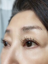 ネモフィリア(Nemophilia)