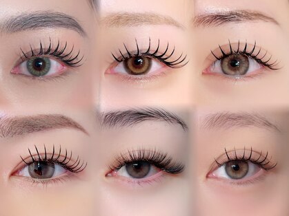 ヘラ(HERA)の写真