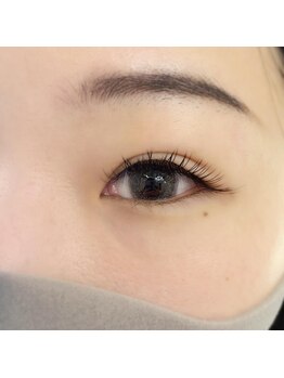 フランセス(Frances)/フラットマットラッシュ140本