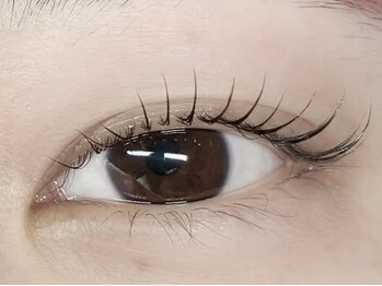 ブルーム(Bloom.)/まつ毛パーマ