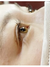 マムール(Beauty Salon Mamour)/ラッシュリフト