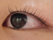 カラン 焼津店(CALIN)/ラスティングカール