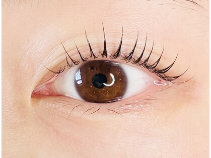 クレール(clair)の写真