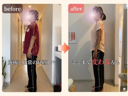 れんげ草の写真