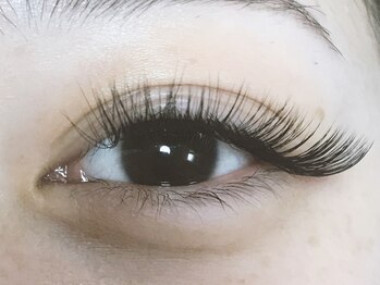アイラッシュリング(EYELASH RING)/ボリュームラッシュ140束