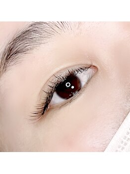 リベルタ(Liberta)/フラットラッシュ120本