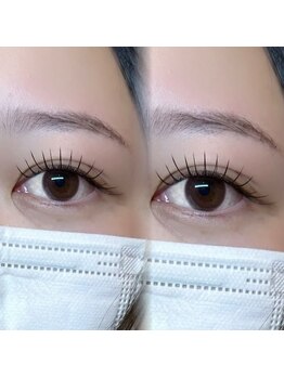 マドラス(MADRAS)/フラットラッシュ　１４０本