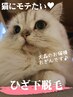 【初回脱毛】猫にモテたい！幸せのスリスリ倍増！？ひざ下脱毛☆