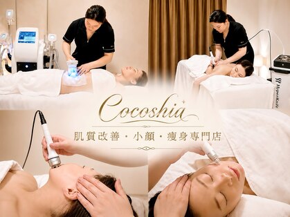 ココシア(Cocoshia)の写真
