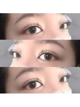 シェイヴィエル(chez viele)/フラットラッシュ140本