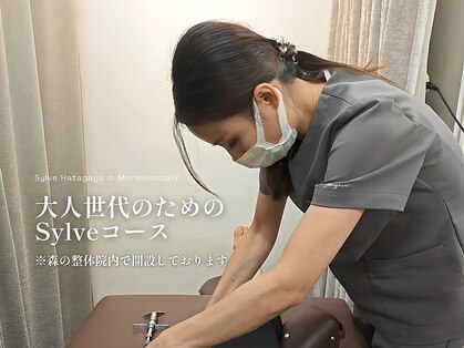森の整体院の写真