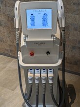 フリーダム(Freedom)&nbsp;PEGASUS PRO