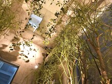 ヒミツ 銀座本店(HIMITSU)/抜け感のある店内