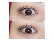 アネラ 青森浜田店(ANELA)/上下まつげパーマ