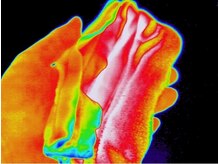 おおむらさき整体院/炭ホットストーンの効果（布）