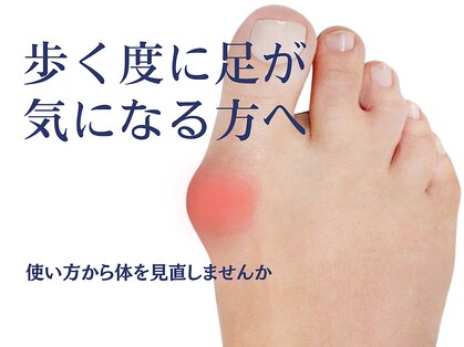 ニコ(niko)の写真