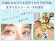 アリエスアイ(aries eye)の写真