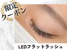  【席数＆スタッフ限定★キャンペーン】LEDエクステ DLフラット100本 ¥4400