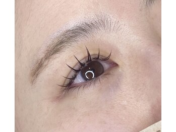 ベラ(Bella)/フラットラッシュ１２０本