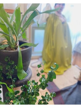 ボディ トーク ヒール コティ(Body talk Heal koti)/よもぎ蒸し