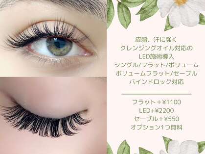 リセシュ(Riseshu)の写真