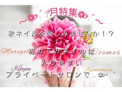 エルディケイ(LDK)の写真
