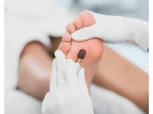 レーヌ青山(Reine Aoyama)