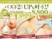 美人バスト 岡崎店