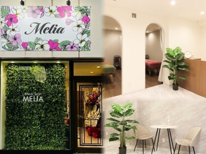 メリア(Melia)の写真