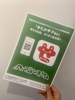 天空の時/せたがやPay