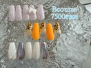 7月定額Bコース
