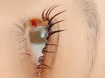 ティアラ(tiara)の写真/目元の印象をグッと変える！一人一人の目の形や、自まつ毛の状態に合わせてオーダーメイドで施術します♪