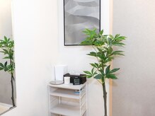 リンクストレッチ 恵比寿店/