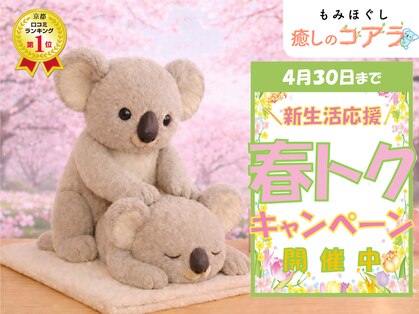 癒しのコアラの写真