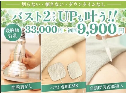 美人バスト 静岡店の写真
